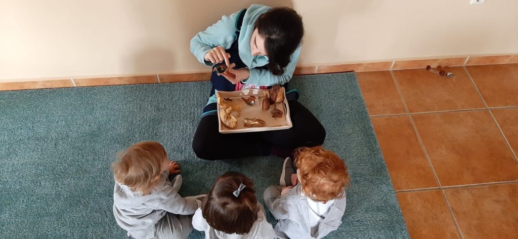 El Poder del Juego Libre en el Desarrollo Infantil: Una Perspectiva Montessori